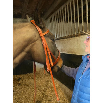 Handmade bridle colour choice