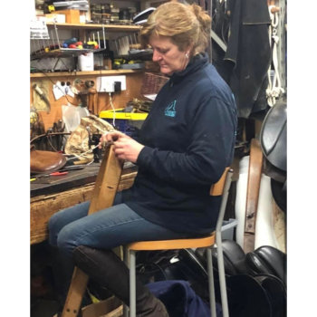Julia in the Workshop