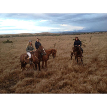 Borana