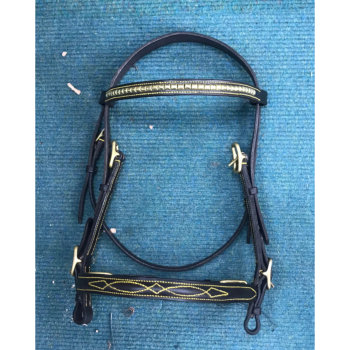 Bespoke Halter with ornate stitching 