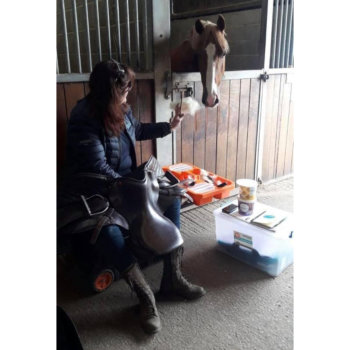 Saddle Adjustment