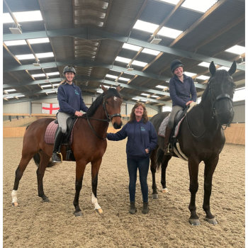 Testing adjusted saddles and/or repaired bridles