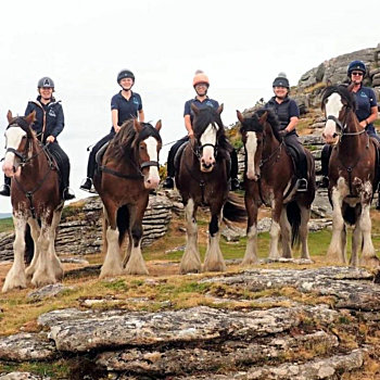 The team trek